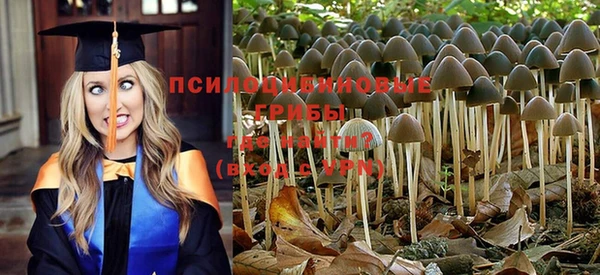 экстази Абинск